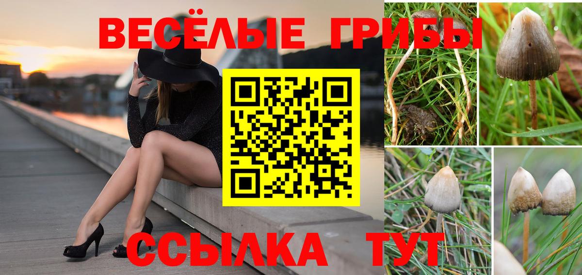 Галлюциногенные грибы мухоморы Михайловка