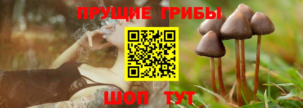 Галлюциногенные грибы Psilocybine cubensis  Галлюциногенные грибы Magic Shrooms  Михайловка  Вход с VPN 